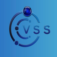 VSS Security