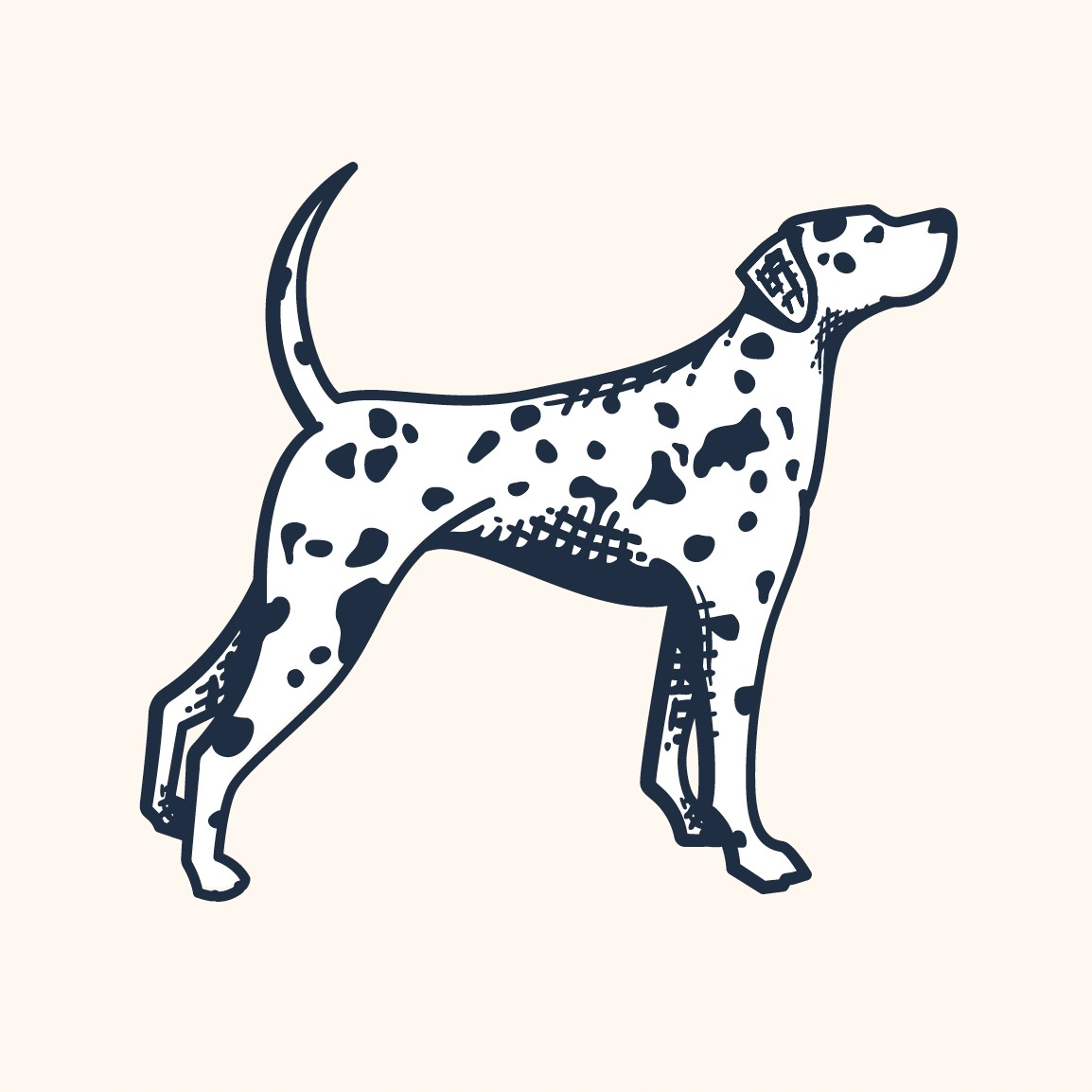 groundsandhoundscoffee