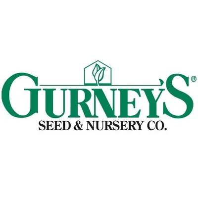 Gurney's