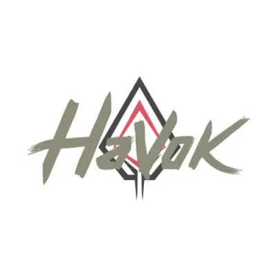Havok Solutions