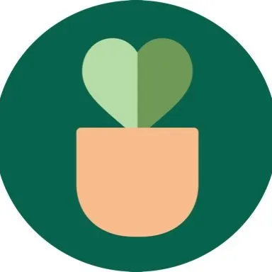 House Plant Shop