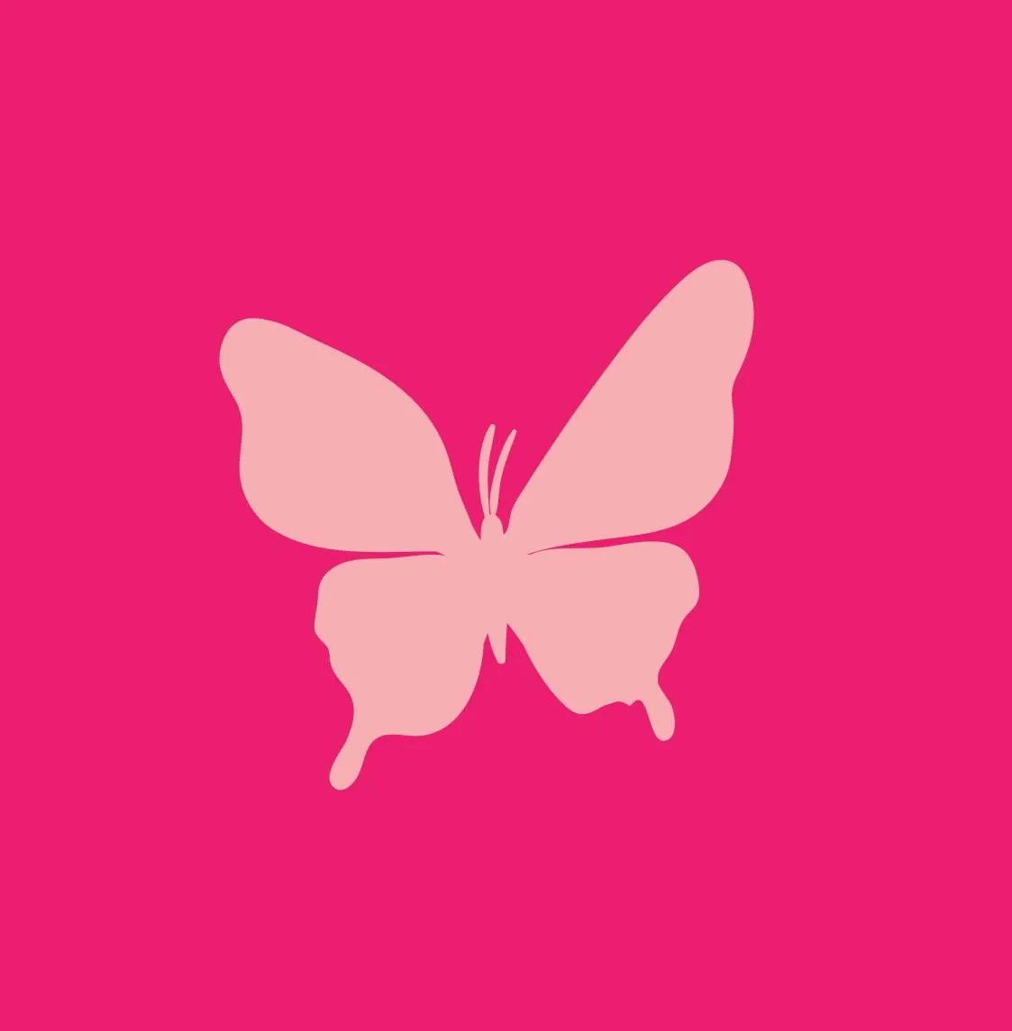Intima USA