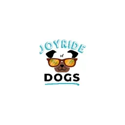 Joyride Harness