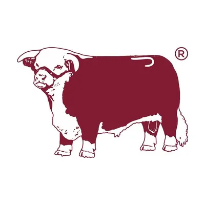 Lazy J Ranch Wear