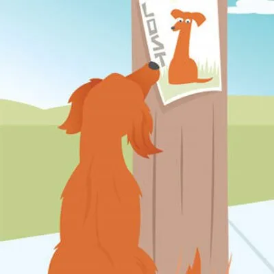 Lost My Doggie