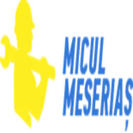 Micul Meserias RO