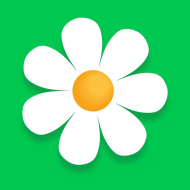Myflowers UK
