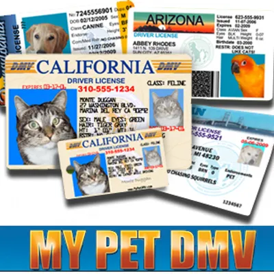 MyPetDMV