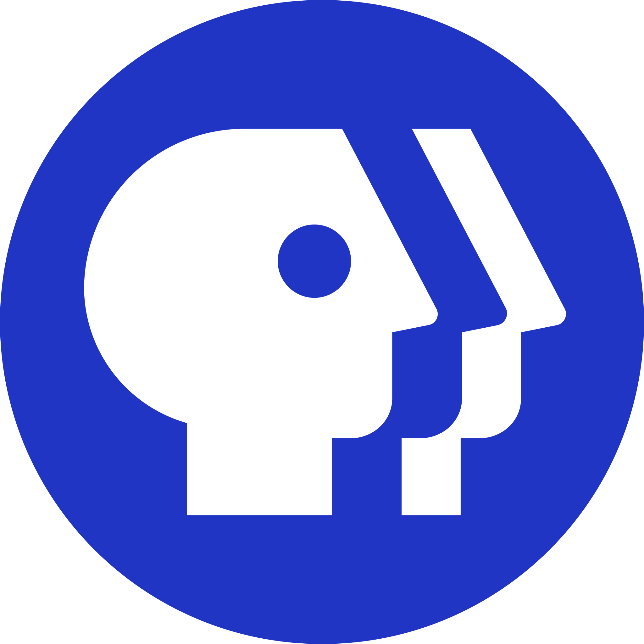 Shop PBS