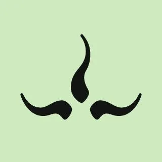 Prana