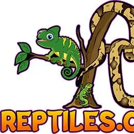 Reptiles.com