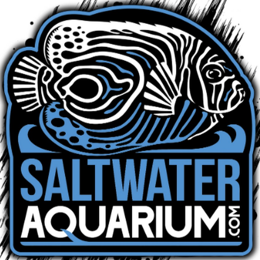 saltwateraquarium