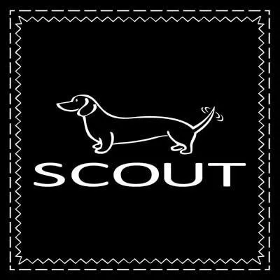 Scout Bags