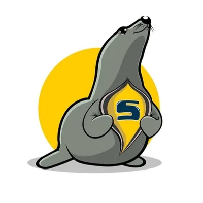 SealSkinCovers