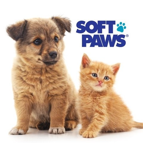 Soft Paws