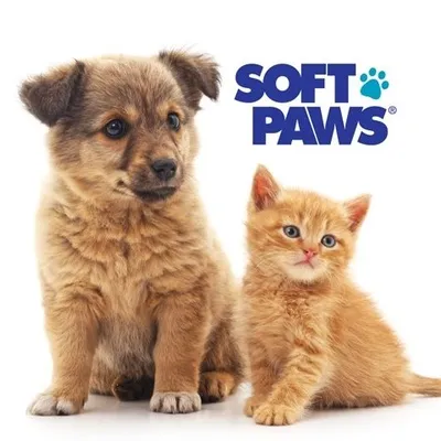Soft Paws
