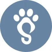 stitchleash