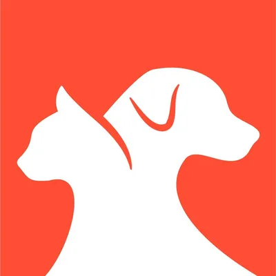 Petlink