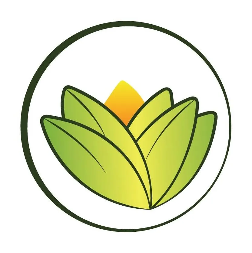 The Ayurveda Experience