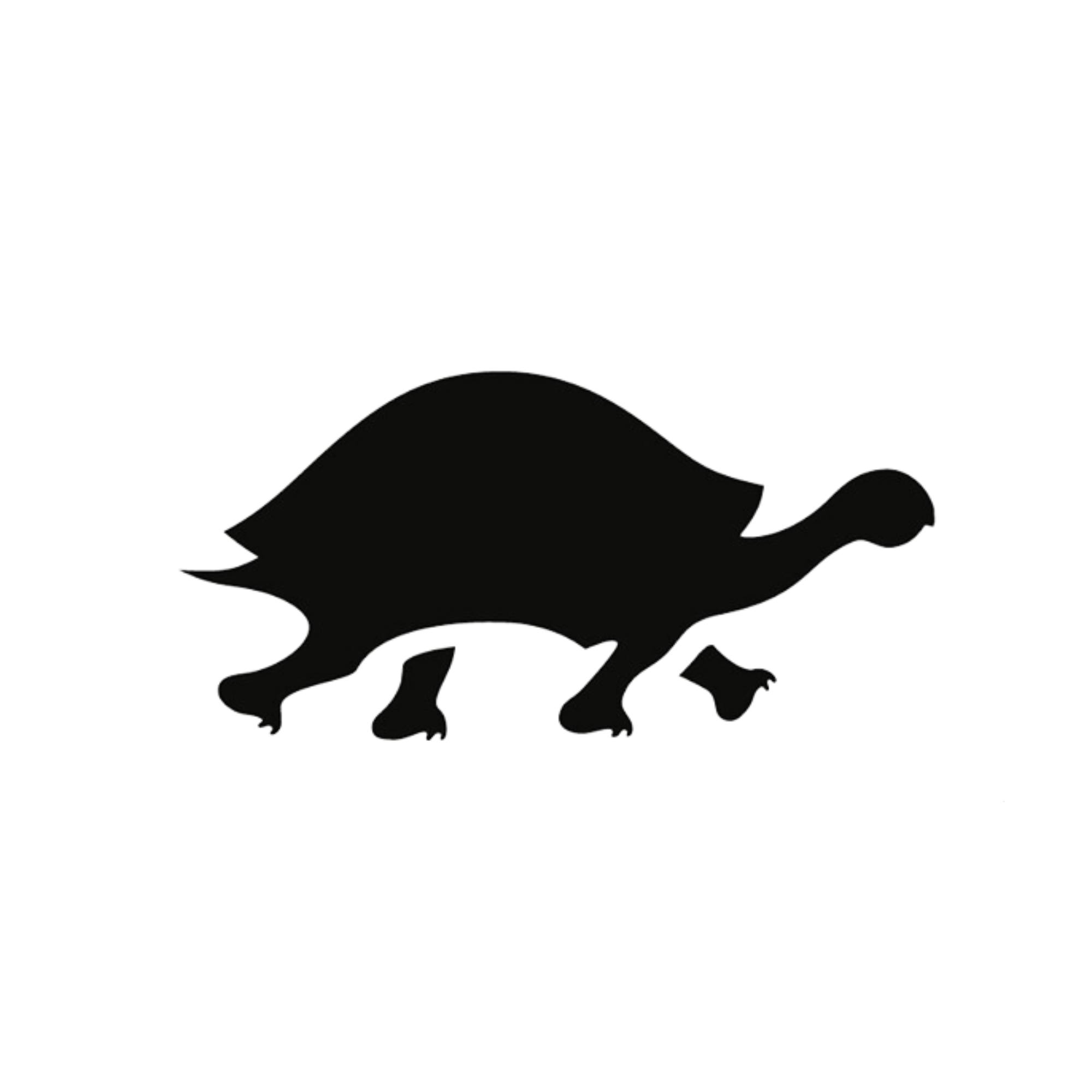 Turtle Fur