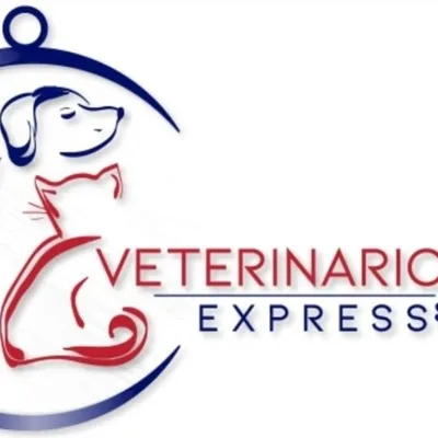 veterinario-express