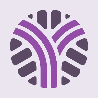 WEBS - America's Yarn Store