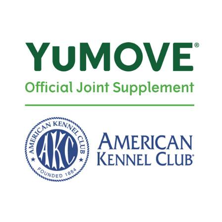 YuMove