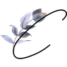 Coletta