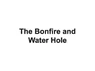 The Bonfire and Watering Hole