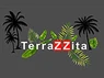 Terrazzita