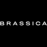 Brassica