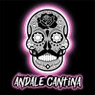 Andale Cantina