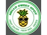 Mini Hello Sweet Spot