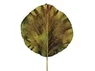LEAF Bar & Lounge