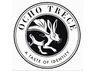 Ocho trece restaurant