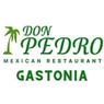 Don Pedro Mexican - Gastonia