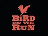 Bird on the Run South Side
