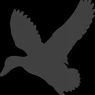 Black Duck Spirits & Hearth